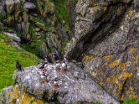Sceilg Mhichíl / Skellig Michael